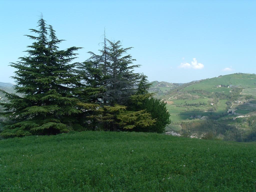 Agriturismo Campo Rosso Villa Civitella di Romagna Exterior photo