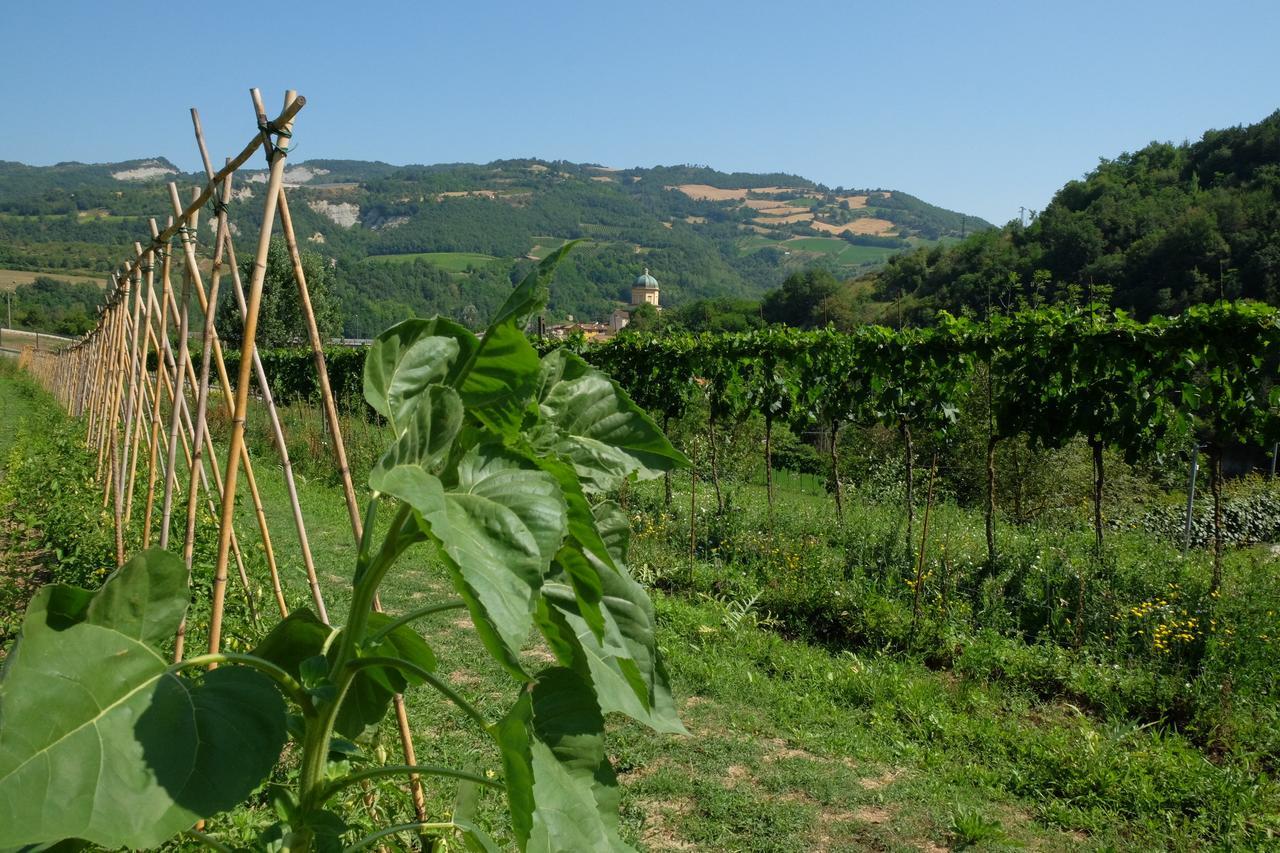 Agriturismo Campo Rosso Villa Civitella di Romagna Exterior photo