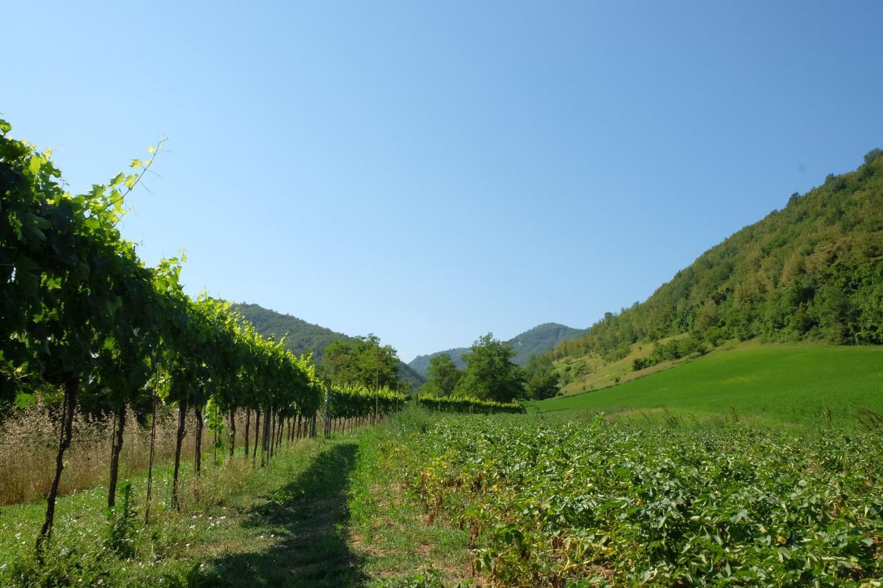 Agriturismo Campo Rosso Villa Civitella di Romagna Exterior photo